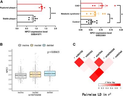 Novel Indel Variation of NPC1 Gene Associates With Risk of Sudden Cardiac Death